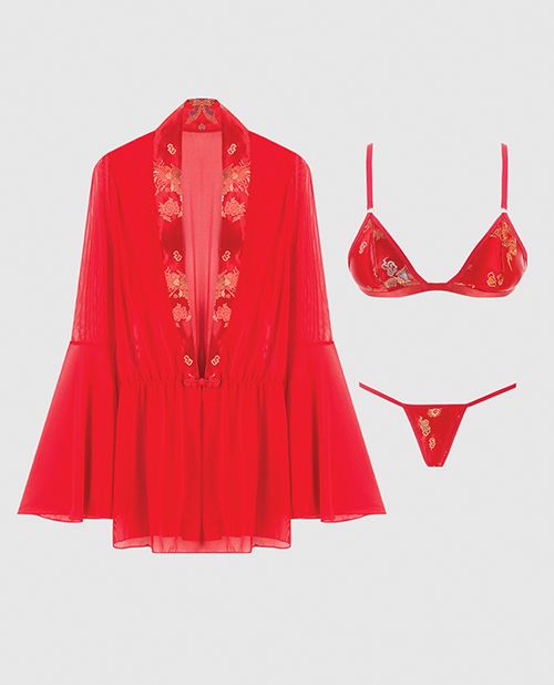 House of Desire Dragon Sheer Mesh Robe With Satin Triangle Top & G-String