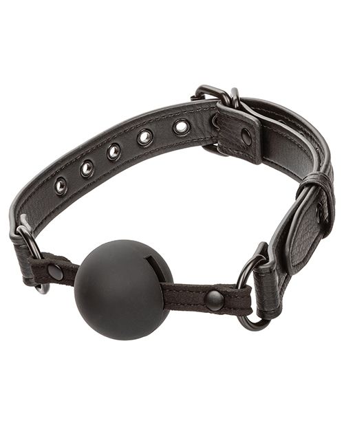 Nocturnal Ball Gag